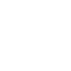 twitter icon